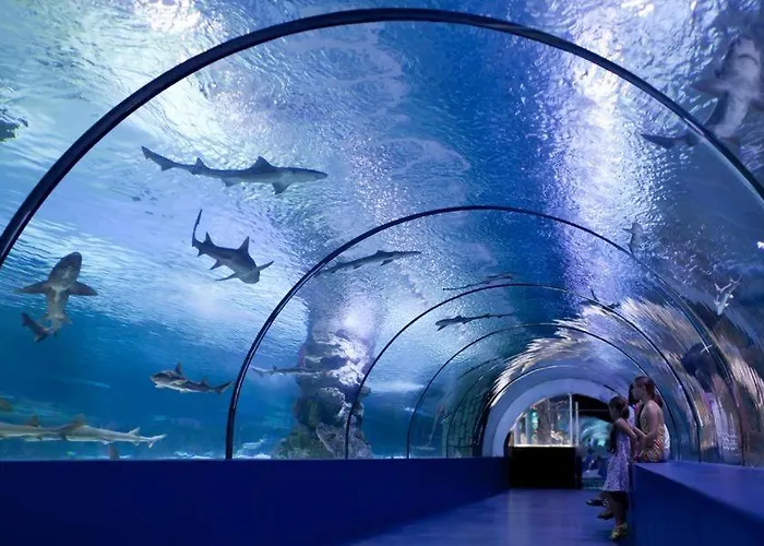 Castello & Aparts מלון קמר